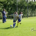 IMG_393173