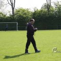 IMG_393211