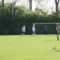 IMG_393216