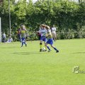 IMG_393232