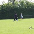 IMG_393239