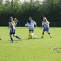 IMG_393241