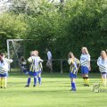 IMG_393251