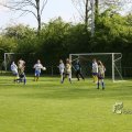IMG_393253