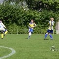 IMG_393264