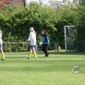 IMG_393273