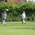 IMG_393274