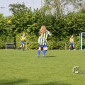IMG_393299