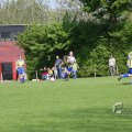IMG_393309