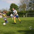 IMG_393313