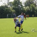 IMG_393343