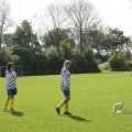 IMG_393353