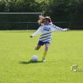 IMG_393355