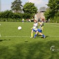IMG_393464