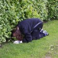 IMG_393465