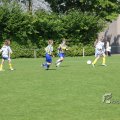 IMG_393481
