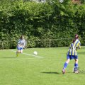 IMG_393497