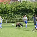 IMG_393501