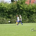 IMG_393510