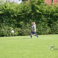 IMG_393511
