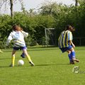 IMG_393531