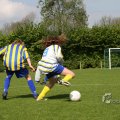 IMG_393547