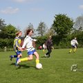 IMG_393550