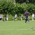 IMG_393559