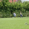 IMG_393561