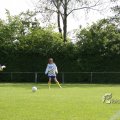 IMG_393585