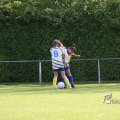 IMG_393593
