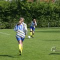IMG_393628