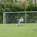 IMG_393633