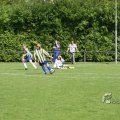 IMG_393643