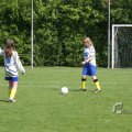 IMG_393652