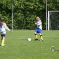 IMG_393653