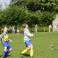 IMG_393664