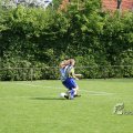 IMG_393686