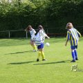 IMG_393713