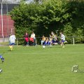 IMG_393728