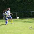 IMG_393746