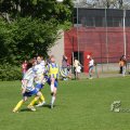 IMG_393774