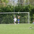 IMG_393785