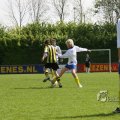 IMG_394044