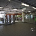 IMG_398674