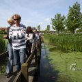IMG_399061