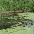 IMG_399070
