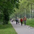IMG_404070