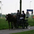 IMG_404086