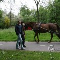 IMG_404091